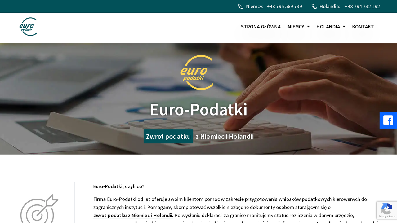 Zrzut strony Euro Podatki - Pomoc w podatkach zagranicznych