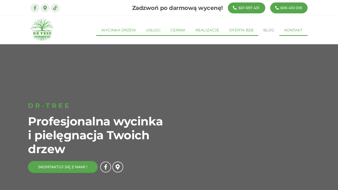 Zrzut strony Wycinka, pielęgnacja drzew Kraków | Dr-tree
